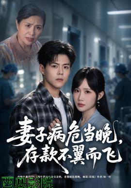 妻子病危当晚，存款不翼而飞 现代都市在线观看